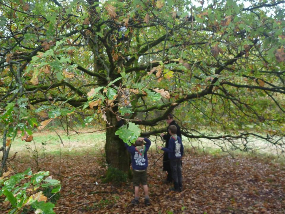 Sint-Martinus den XIIde - Weekend WK 2013